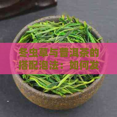 冬虫草与普洱茶的搭配泡法：如何发挥两者的养生功效？