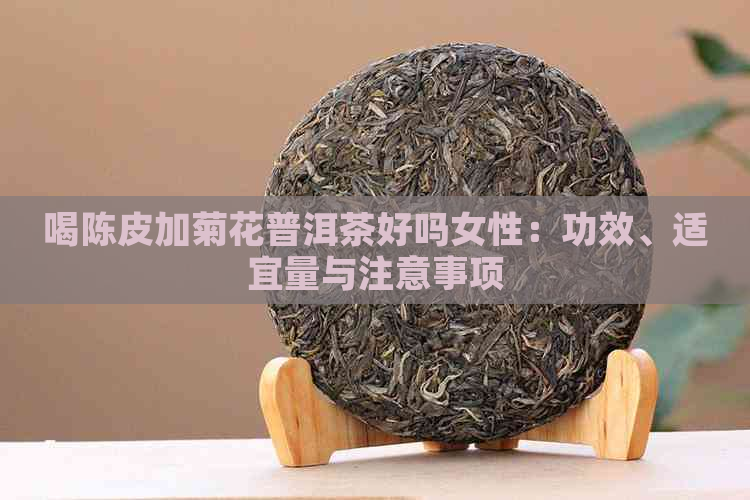 喝陈皮加菊花普洱茶好吗女性：功效、适宜量与注意事项