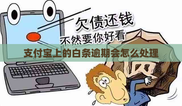 支付宝上的白条逾期会怎么处理