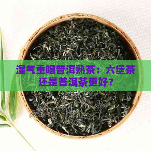 湿气重喝普洱熟茶：六堡茶还是普洱茶更好？