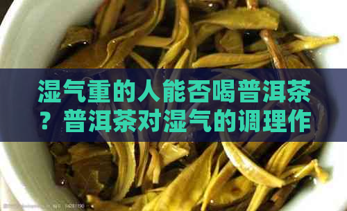 湿气重的人能否喝普洱茶？普洱茶对湿气的调理作用及注意事项解析