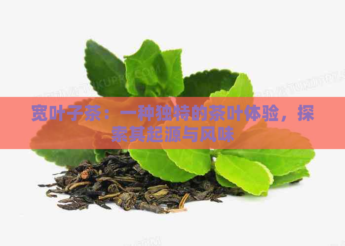 宽叶子茶：一种独特的茶叶体验，探索其起源与风味