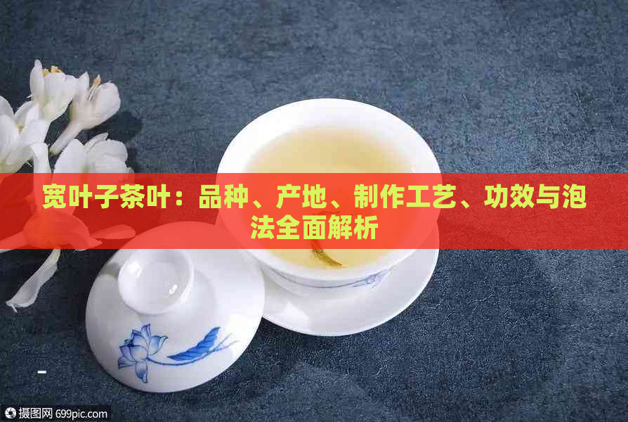 宽叶子茶叶：品种、产地、制作工艺、功效与泡法全面解析