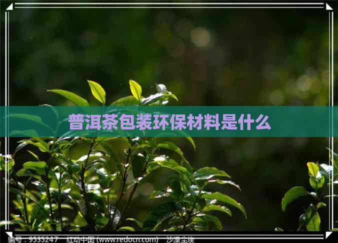 普洱茶包装环保材料是什么