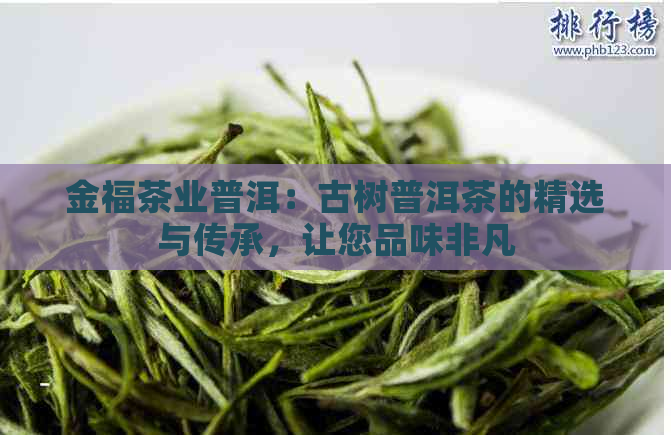 金福茶业普洱：古树普洱茶的精选与传承，让您品味非凡