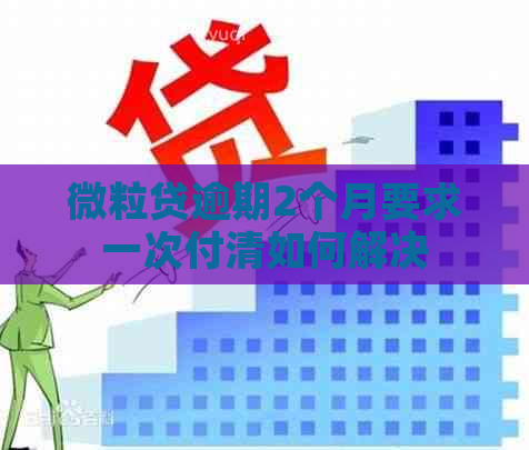 微粒贷逾期2个月要求一次付清如何解决