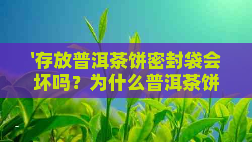 '存放普洱茶饼密封袋会坏吗？为什么普洱茶饼用密封袋装着还能喝？'