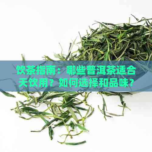 饮茶指南：哪些普洱茶适合天饮用？如何选择和品味？