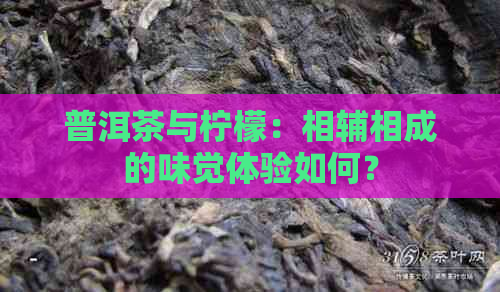 普洱茶与柠檬：相辅相成的味觉体验如何？