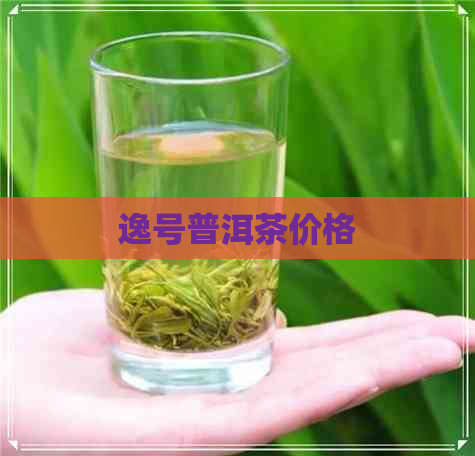 逸号普洱茶价格