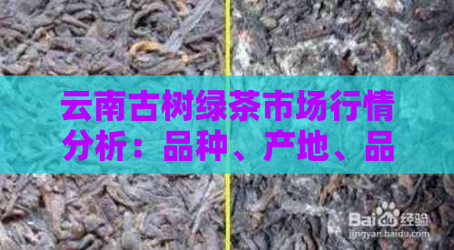 云南古树绿茶市场行情分析：品种、产地、品质与价格全面了解