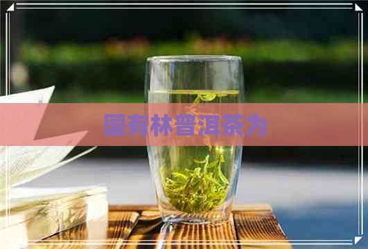 国有林普洱茶为