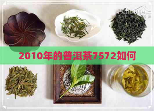 2010年的普洱茶7572如何