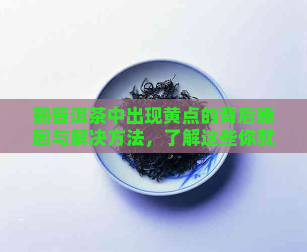 熟普洱茶中出现黄点的背后原因与解决方法，了解这些你就是行家！