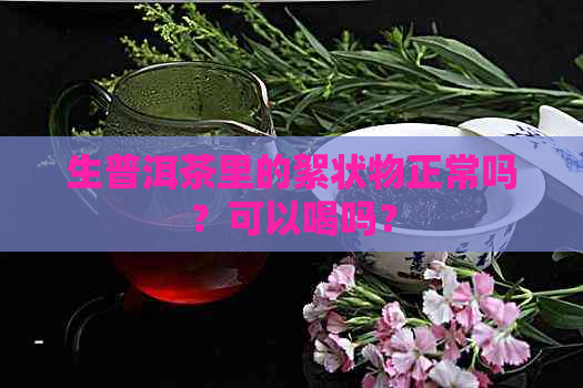 生普洱茶里的絮状物正常吗？可以喝吗？