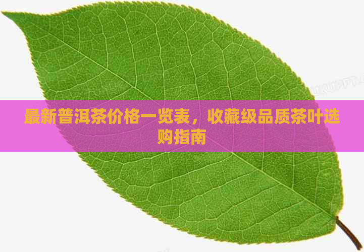 最新普洱茶价格一览表，收藏级品质茶叶选购指南