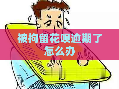 被拘留花呗逾期了怎么办