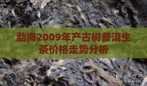 勐海2009年产古树普洱生茶价格走势分析