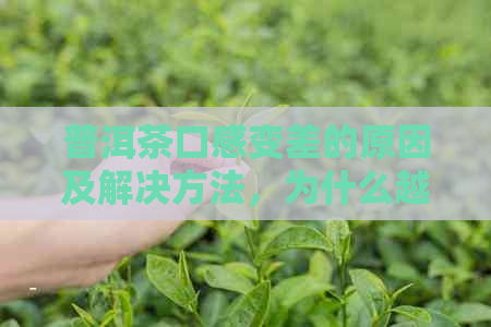 普洱茶口感变差的原因及解决方法，为什么越喝越差？