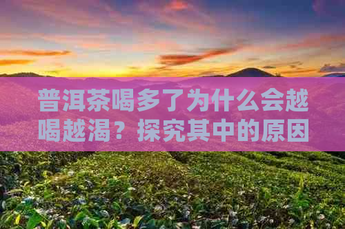 普洱茶喝多了为什么会越喝越渴？探究其中的原因及解决方法