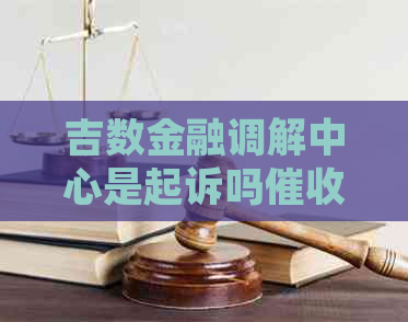 吉数金融调解中心是起诉吗