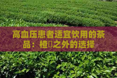 高血压患者适宜饮用的茶品：楂樿之外的选择