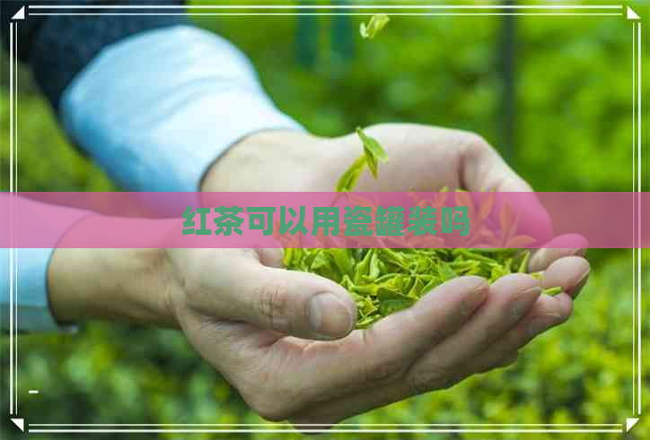 红茶可以用瓷罐装吗