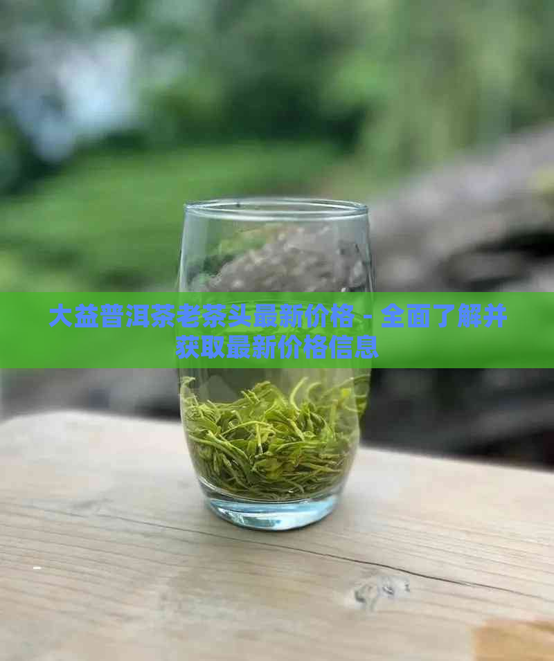 大益普洱茶老茶头最新价格 - 全面了解并获取最新价格信息