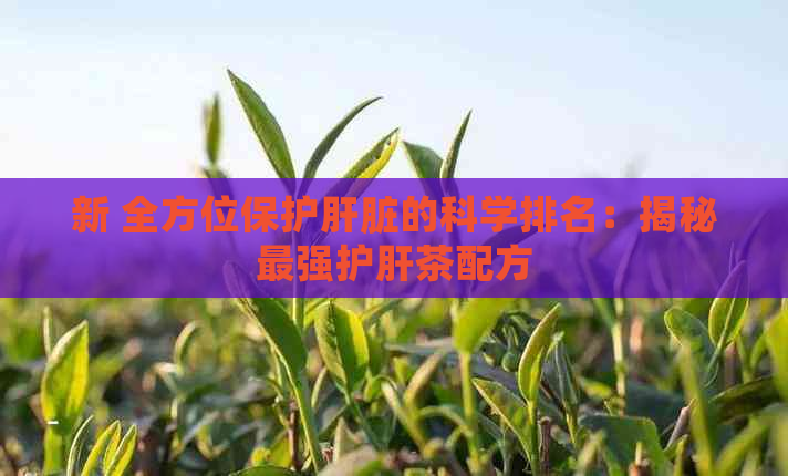 新 全方位保护肝脏的科学排名：揭秘最强护肝茶配方