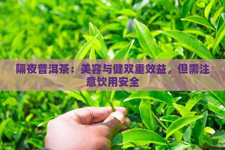 隔夜普洱茶：美容与健双重效益，但需注意饮用安全