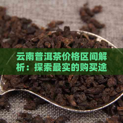 云南普洱茶价格区间解析：探索最实的购买途径与品质保证