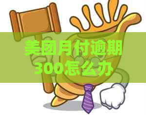 美团月付逾期300怎么办