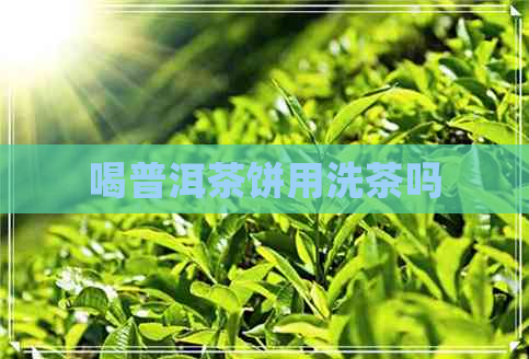 喝普洱茶饼用洗茶吗