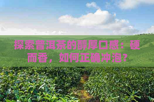 探索普洱茶的醇厚口感：硬而香，如何正确冲泡？