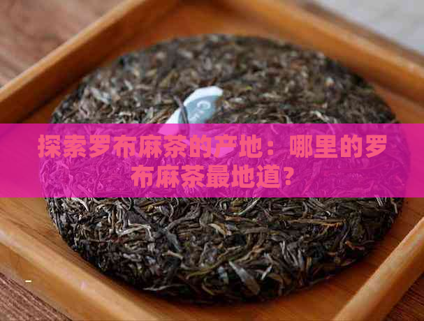 探索罗布麻茶的产地：哪里的罗布麻茶最地道？