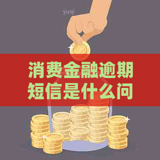 消费金融逾期短信是什么问题