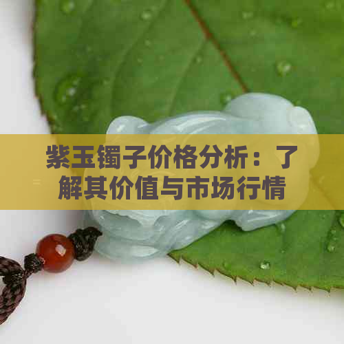 紫玉镯子价格分析：了解其价值与市场行情