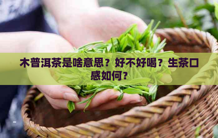 木普洱茶是啥意思？好不好喝？生茶口感如何？