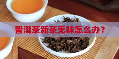 普洱茶新茶无味怎么办？