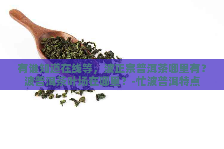 有谁知道在线等，波正宗普洱茶哪里有？波普洱茶叶场在哪里？-忙波普洱特点