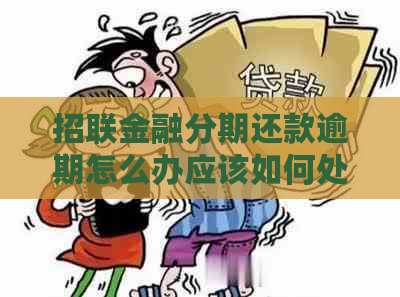 招联金融分期还款逾期怎么办应该如何处理