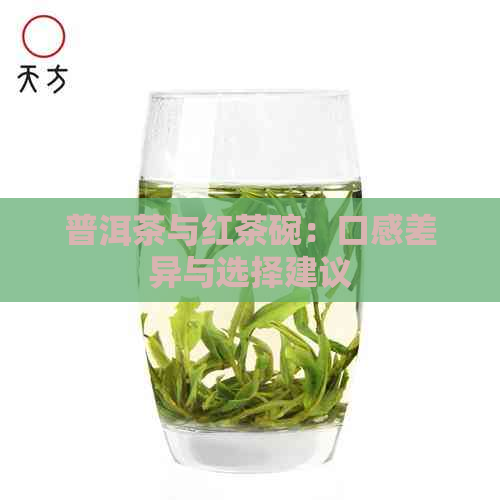 普洱茶与红茶碗：口感差异与选择建议