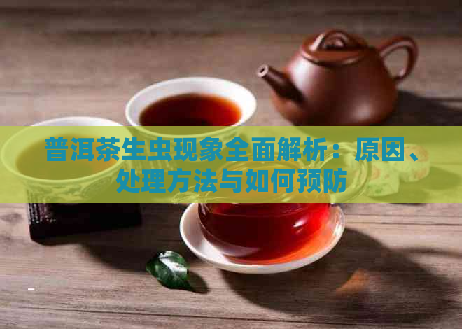 普洱茶生虫现象全面解析：原因、处理方法与如何预防