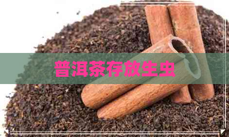 普洱茶存放生虫