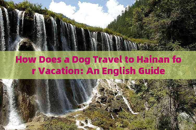 How Does a Dog Travel to Hainan for Vacation: An English Guide