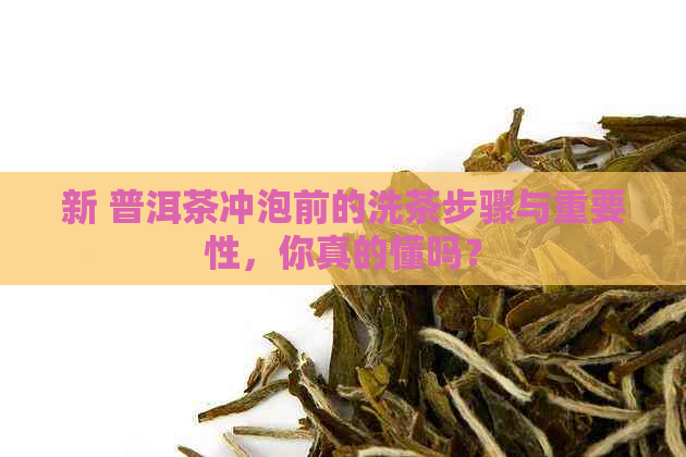 新 普洱茶冲泡前的洗茶步骤与重要性，你真的懂吗？