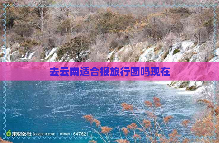 去云南适合报旅行团吗现在