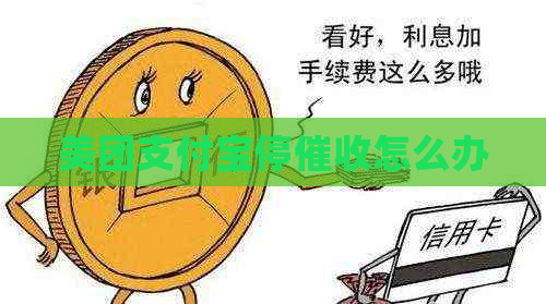 美团支付宝停怎么办