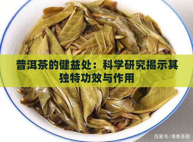 普洱茶的健益处：科学研究揭示其独特功效与作用