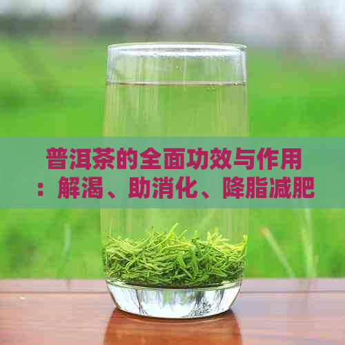 普洱茶的全面功效与作用：解渴、助消化、降脂减肥、抗氧化等